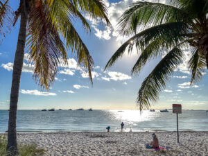 Periodo migliore visitare Miami