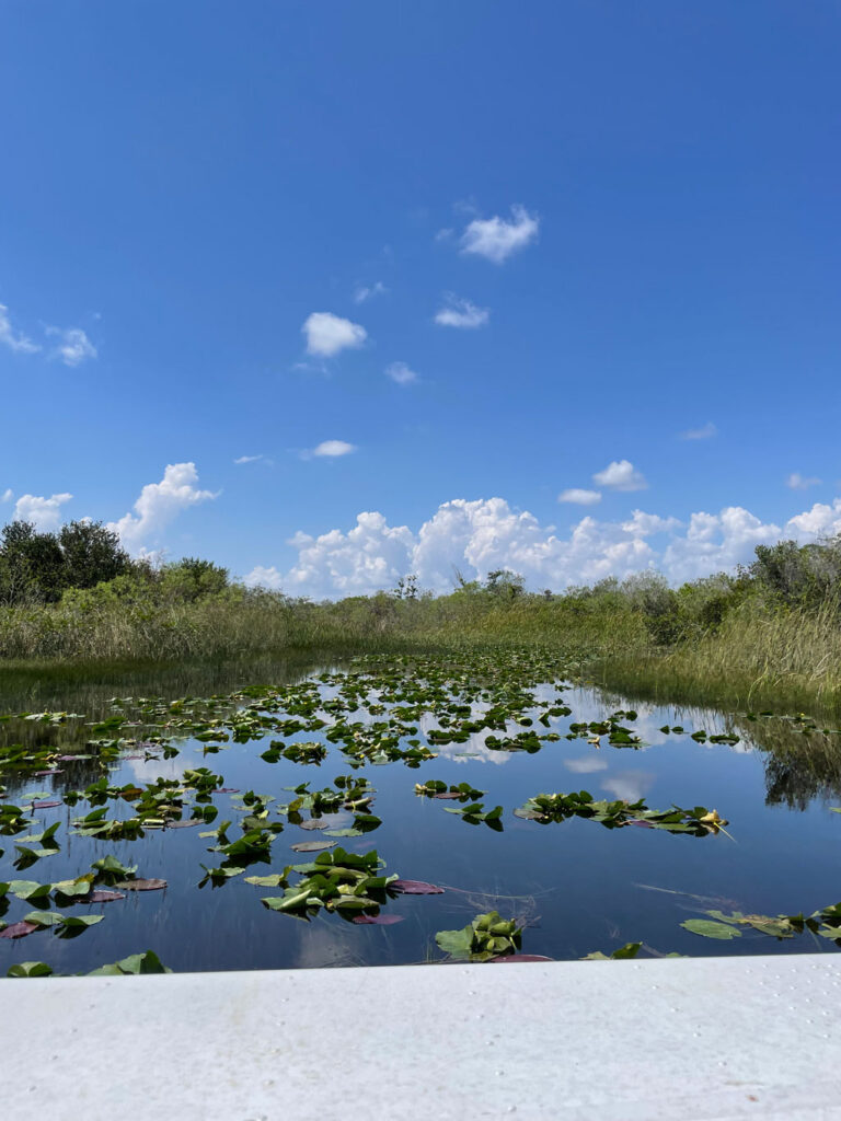 Everglades