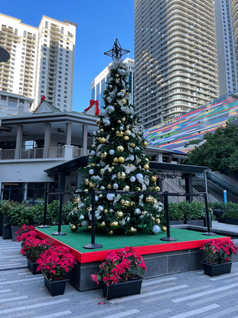 Clima di Miami A Natale