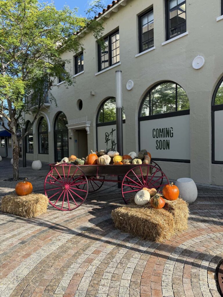 Vivere a Coral Gables