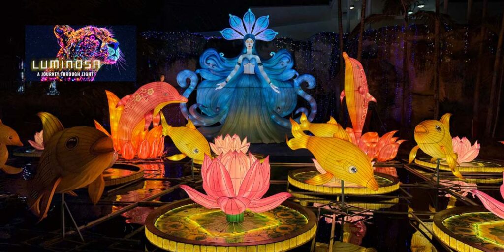 Luminosa Miami