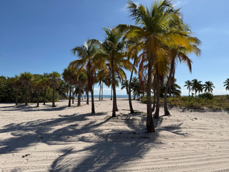 Miami Relocations