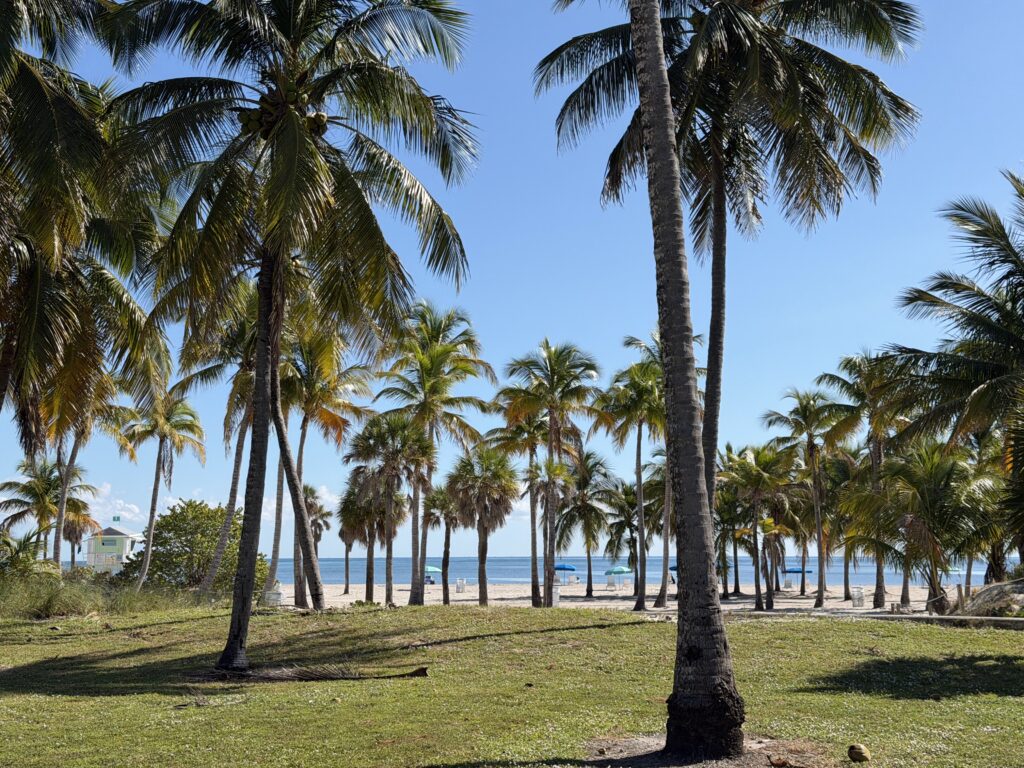 Crandon Park 