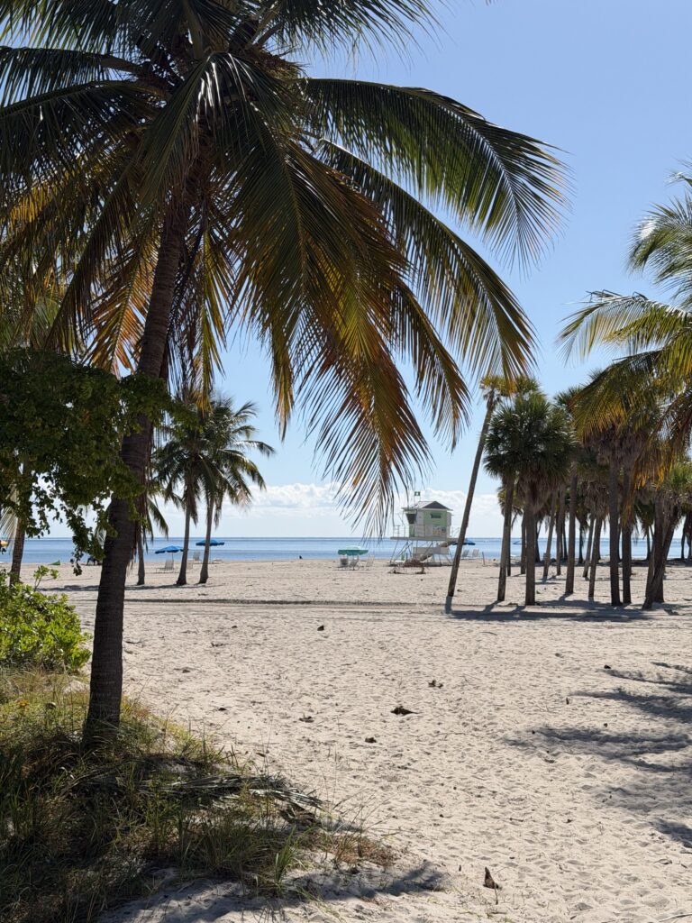 Crandon Park 