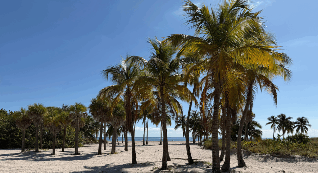 crandon park