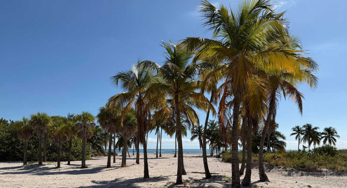 crandon park