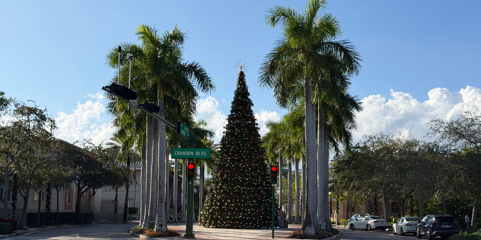 dove mangiare a Natale a Miami