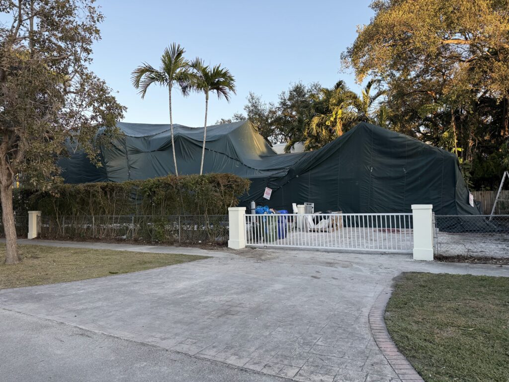 disinfestazione termiti Miami